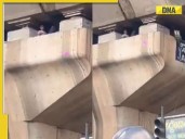 ‘Is this even real?’ Viral video shows man resting inside flyover pillar in Beng
