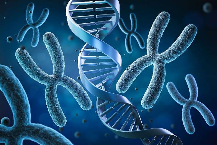 Exome Sequencing Can ID Those Who Are Genotype-Positive for Familial Hypercholesterolemia