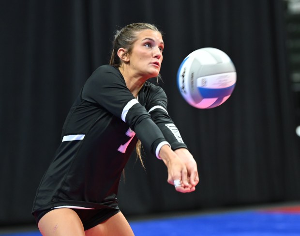 State volleyball: Roseville rolls with quarterfinal sweep of Rogers