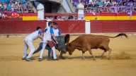 Nuevo rifirrafe en Calatayud a cuenta de la fallida corrida de las Ferias