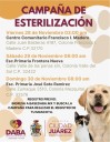 Ofrece DABA esterilizaciones gratuitas