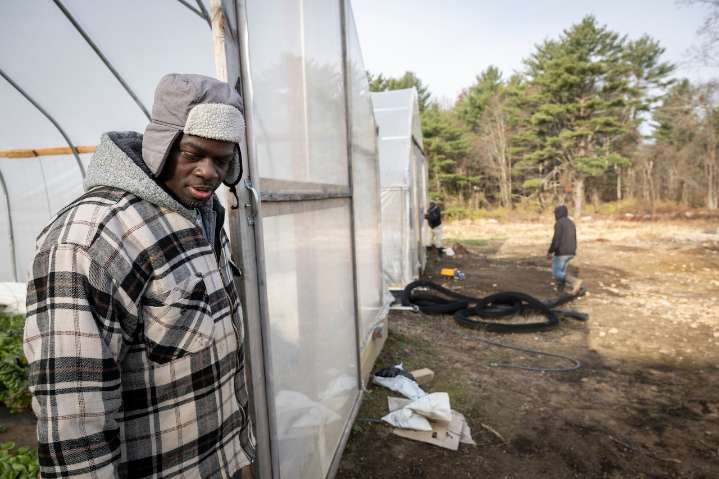 ‘Terrified’: Jamaican Workers in Mass. Lose Contact After Deadly Storm