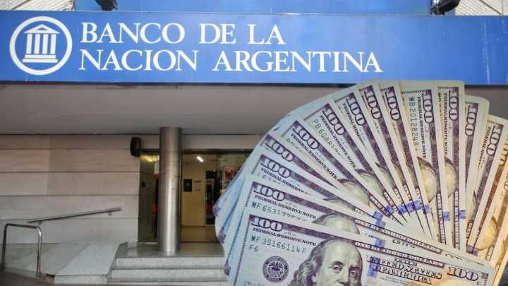 El Banco Nación reveló el nuevo precio del dólar: cuánto valdrá este martes 11 de noviembre cuando abran los bancos