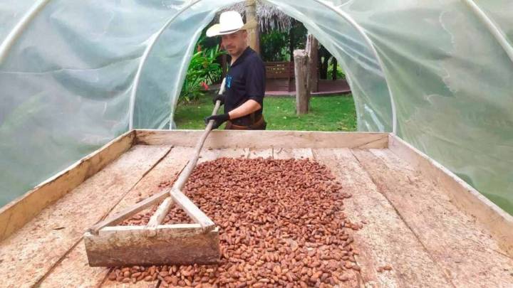 La emprendedora que apostó por el cacao colombiano y hoy lleva su chocolate a cuatro países