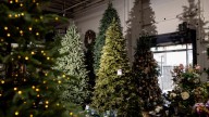 Por qué tu árbol de Navidad podría costar más este año – Telemundo Area de la Bahía 48
