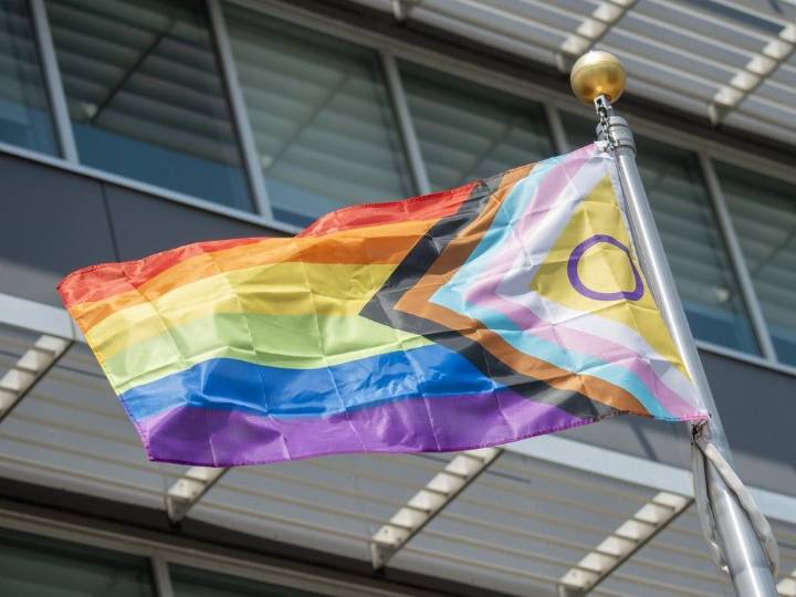 Windsor Pride Fest president resigns after backlash over trans athlete comments