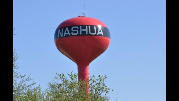 Urban Chickens Being Considered