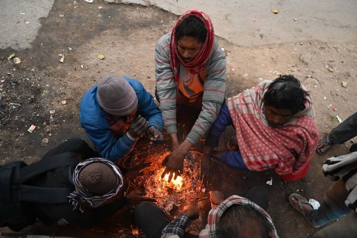 Maharashtra Weather Update For November 17: Cold Wave Continues in 11 Districts, Mumbai