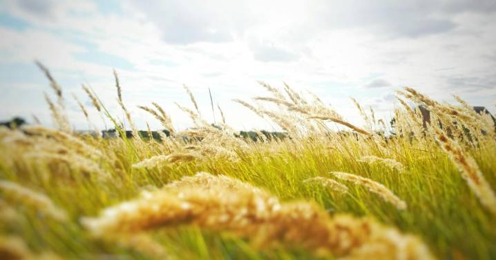 Breezy Thursday with upper 60s — bundle up for the Broncos game