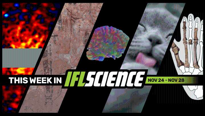 Have We Finally "Seen" Dark Matter? Mysterious Ancient Foot May Be From Our "True Ancestor", And Much More This Week