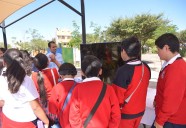 Conanp fortalece el cuidado de la mariposa Monarca en la Sierra Gorda de Guanajuato