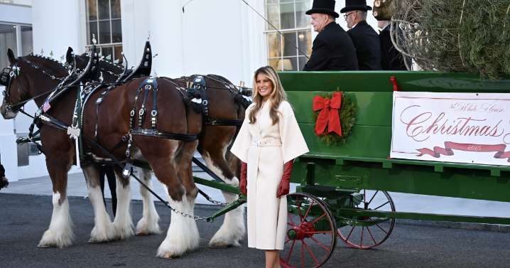 Melania Trump inaugura la Navidad con la llegada del árbol a la Casa Blanca