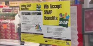 When can SNAP recipients expect full benefits?
