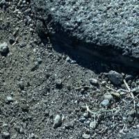 Winning Council candidates look to focus on Tucson roads