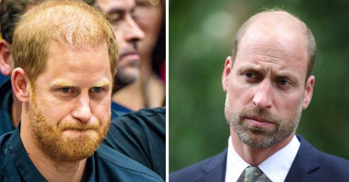 'Spoiled Brat' Prince Harry Blasted For Being 'Very Jealous of William'