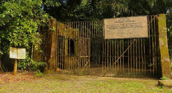 De Penal Infame a Santuario de Ballenas: La Sorprendente Transformación de la Isla Gorgona