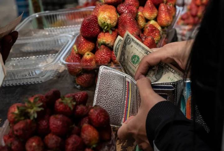 Economista estima que la inflación cerrará el año cerca de 250 % y el dólar a 315 bolívares