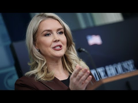 White House slams focus on new Epstein emails referencing Trump as shutdown conclusion nears