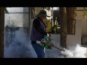 Desmiente Salud decesos por dengue en Sonora