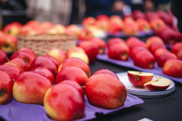 Desde el Maule al mundo: impulsan híbridos de manzano para climas cálidos y exportación global