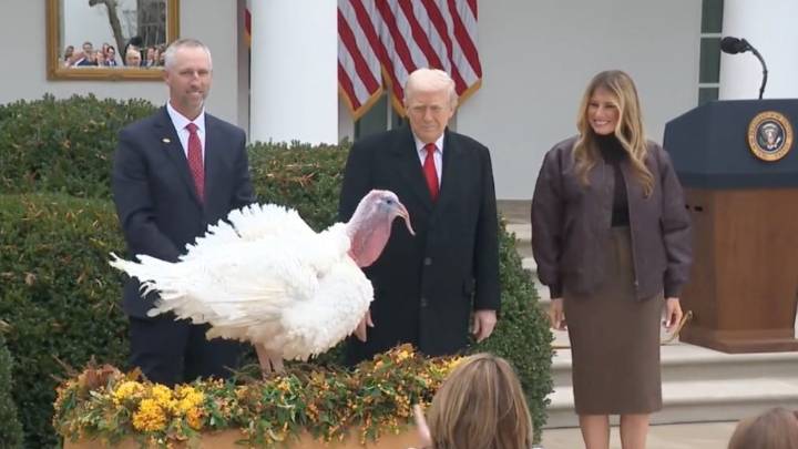 Salva Trump a dos pavos de ser el plato principal en cena de Acción de Gracias