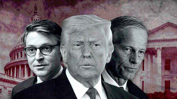 Deal to reopen government falters over Democrats’ distrust of Trump