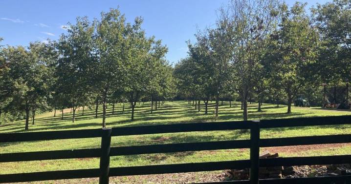 Nelson considers new minimum lot size in agricultural districts