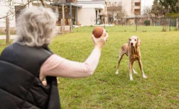 Grabó a su abuela con su perro y se volvió viral: "Esto es una banda"
