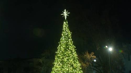 Tree lighting in Raleigh at Moore Square kicks off 2025 holiday season