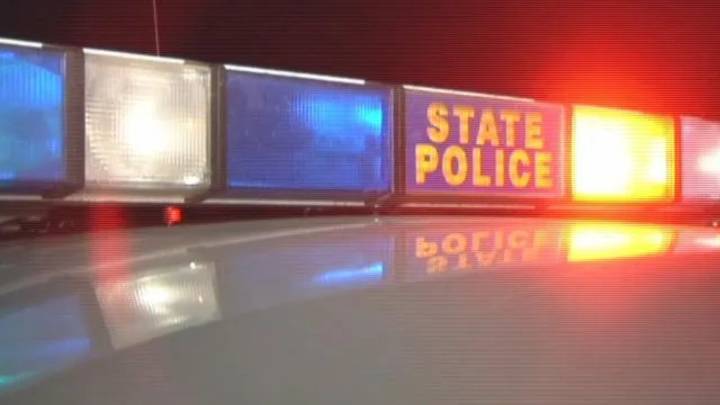 State police arrest woman accused of starving dog to death