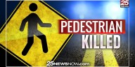 Pedestrian fatally hit in Bloomington