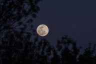 Calendario astronómico de diciembre 2025: Luna Fría y Solsticio de invierno