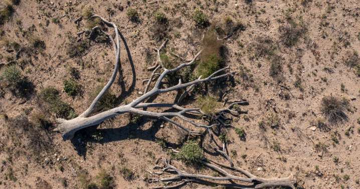 Abandoned waterpark becomes canvas for graffiti artists and paradise for skaters