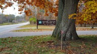 Consumer Energy project sparks concerns for Fenner Nature Center trees
