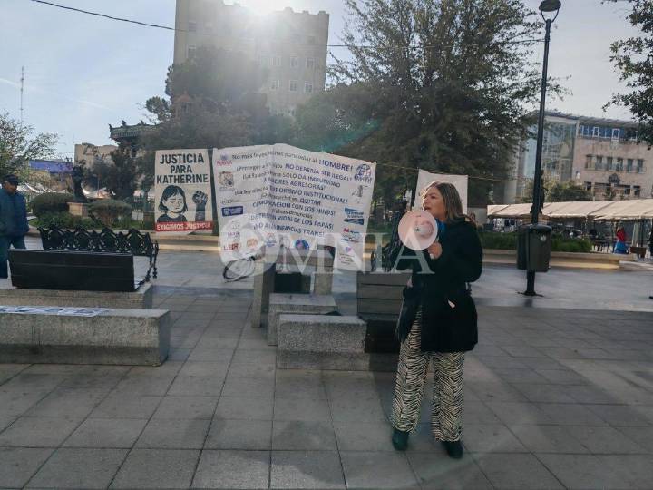 Piden que se contemple a los hombres como víctimas de violencia vicaria