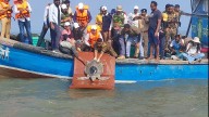 Maharashtra Achieves First-Ever Satellite Tagging Of Rehabilitated Olive Ridley Turtle