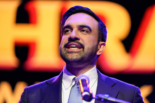 Mamdani's historic win as New York City's mayor sparks excitement and hope among many US Muslims