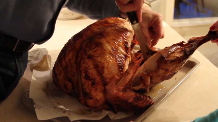 Can't cook a turkey? Not to worry as Butterball Turkey Talk