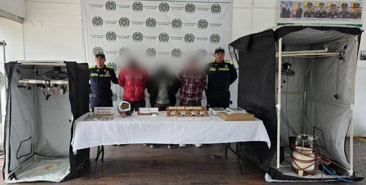 Descubren millonario cultivo de marihuana en Ciudad Bolívar