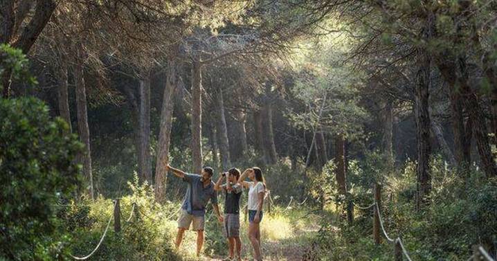 The secretive European forest that is open just 10 days a year to barely any tourists