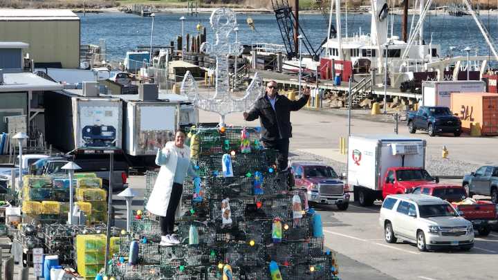 ‘Our Christmas card to the world’: Stonington Lobster Trap Tree set for fifth year