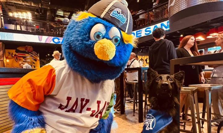 Salvatore va a robarse el show: los Cangrejeros tendrán el primer ‘bat dog’ en un juego de béisbol en la isla