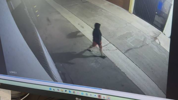 Anaheim woman facing felony charges for ‘throwing away’ malnourished poodle