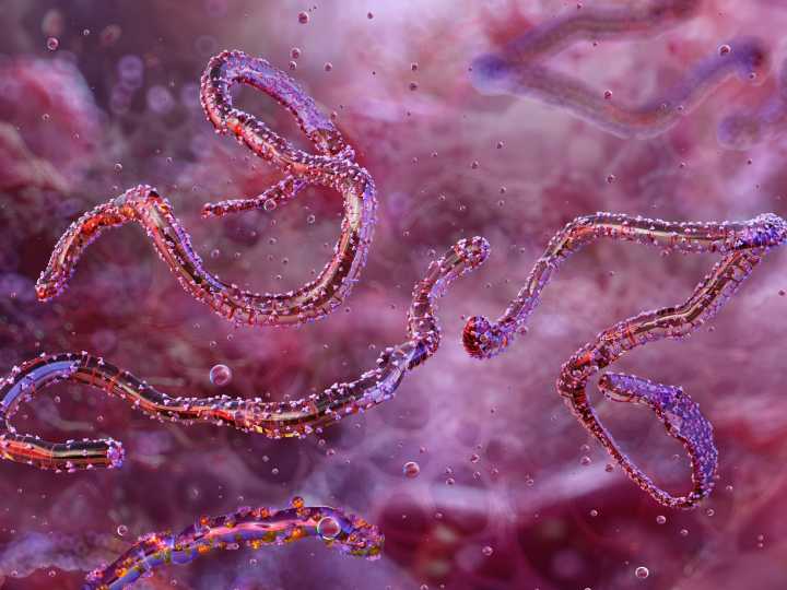 Ethiopia confirms first outbreak of Marburg virus