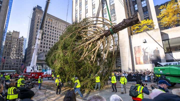 Rockefeller Center Christmas tree arrives in New York City
