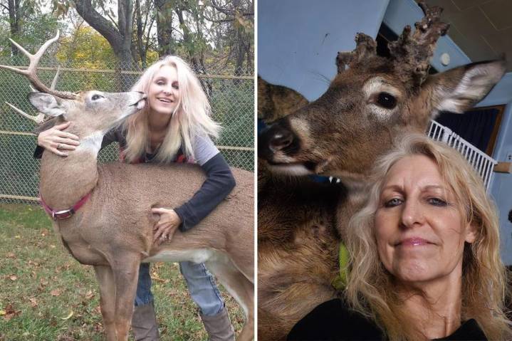 Ohio woman killed by deer she was attempting to rehabilitate in an enclosure on her property