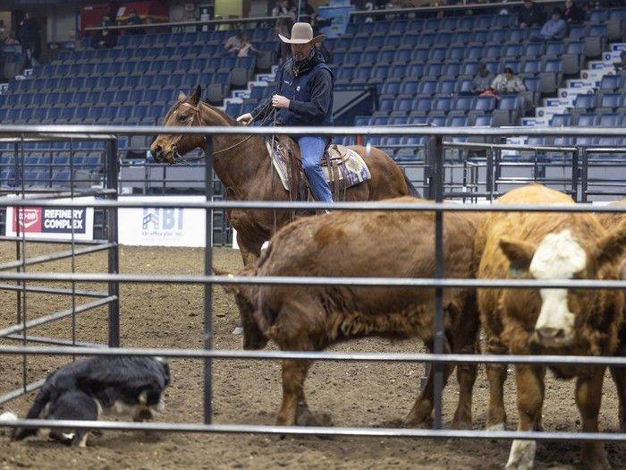 Agribition set to break attendance record after wrapping up 54th year