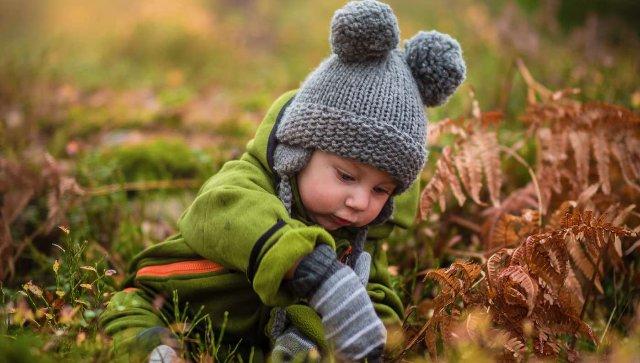 A Daycare Rewilded its Yard and the Children Became Healthier: Now the Whole Nation Is Doing it