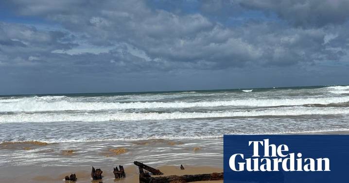 Look what the tide brought in: shipwreck found on Victorian beach may have lain there for a century