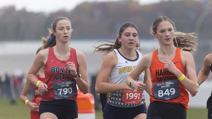 PHOTOS: Petoskey-area runners take on cross country state finals